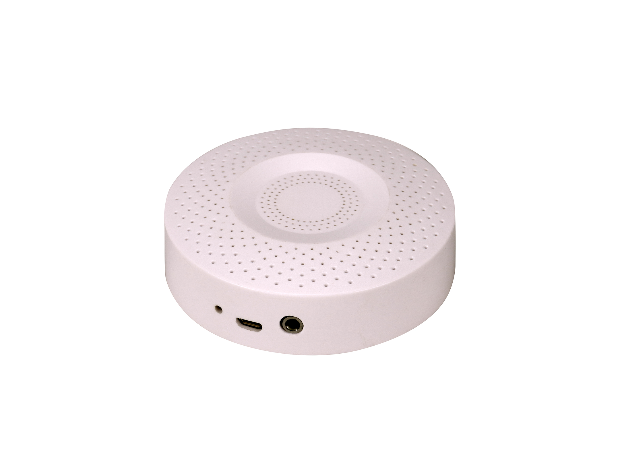 語音報(bào)警器